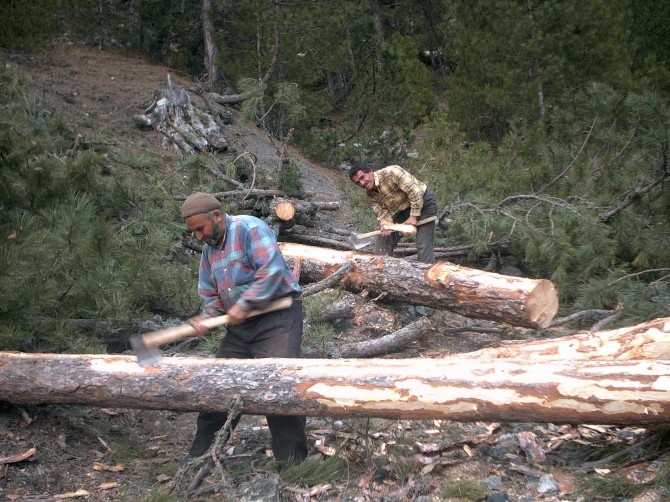 Çorumda Ormanlara 71 Milyon Liralık Yatırım