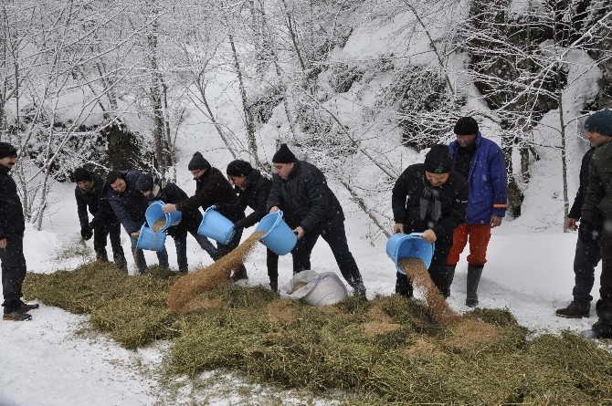 Doğaya Yem Bıraktılar