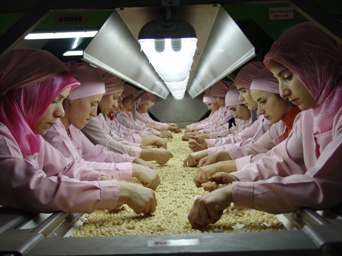 Düzceden 2016 Yılında 25 Bin 678 Ton İç Fındık İhraç Edildi