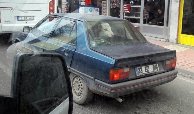 Elazığda Dana Ferhat Vakası