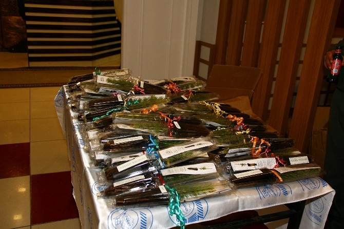 Eskişehirde Nikâh Fidanı Uygulaması