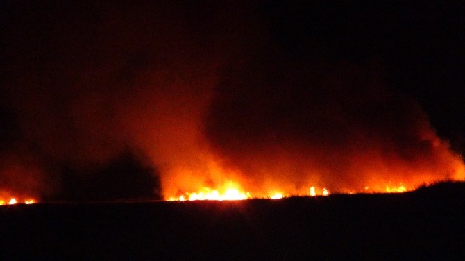 Göksu Deltasında Yangın