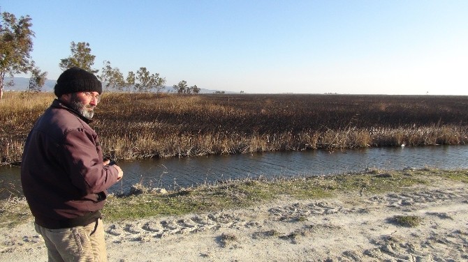 Göksu Deltasındaki Yangın Kendiliğinden Söndü