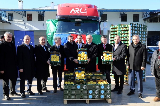 Hollandalılar Bursa Ayvasını Yiyecek