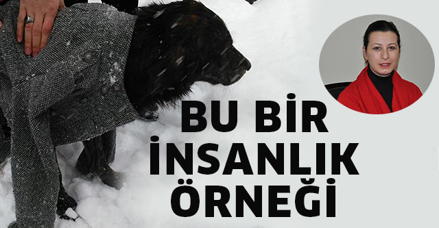 BU BİR İNSANLIK ÖRNEĞİ