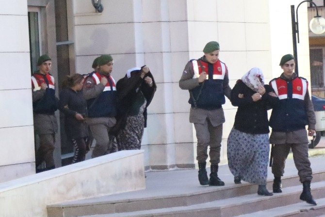 Jandarma Hırsızlık Şebekesini Çökertti