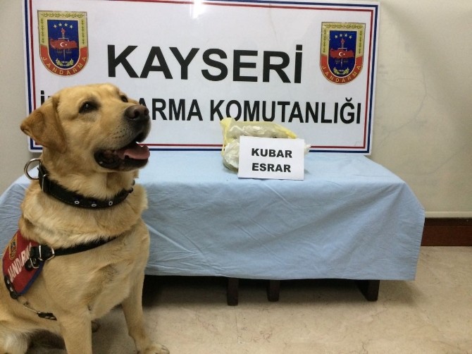 Jandarmadan Esrar Operasyonu