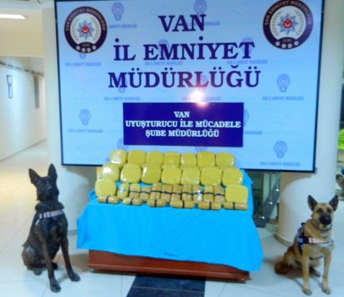 Kaçakçıların Korkulu Rüyası: Lisa Ve Şila