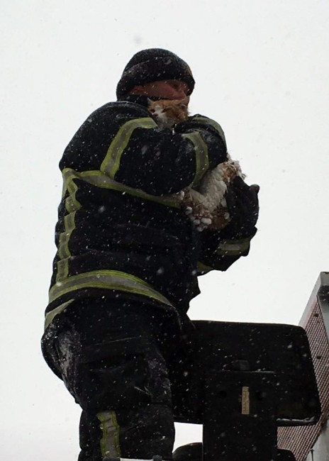 Kediye İtfaiyeci Şefkati