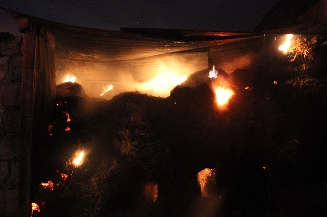 Kocaelide 500 Balya Samanlık Alev Alev Yandı