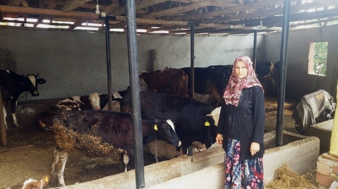 Kütahyada 1 Yılda 200 Aileye Orköy Kredisi