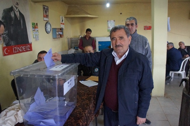 Lapsekide Muhtarlık Seçimi