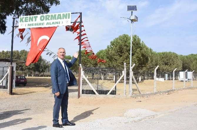 Mangal İncirliovada İkinci Etap Çalışmalar Başlatıldı