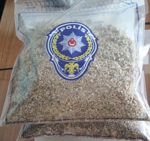 Meyve Suyu Kutusundan Bonzai Çıktı