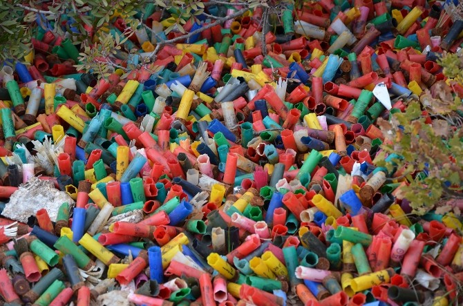 Milasta Doğaseverlerden Avcılara Çağrı