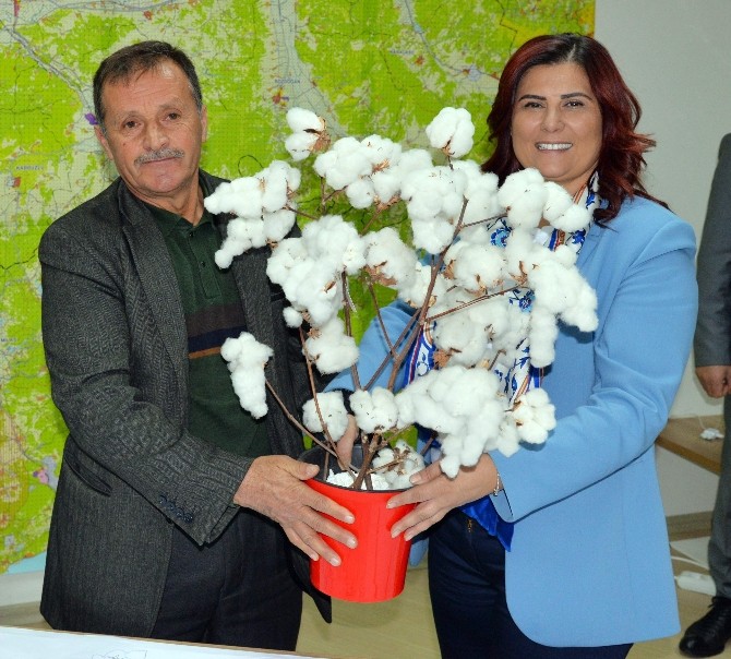 Nazillili Mahalle Muhtarlarından Başkan Çerçioğluna Teşekkür