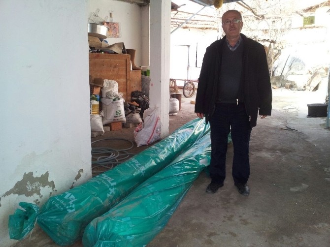 Osmancalıda Çilek Üreticisine Büyük Destek