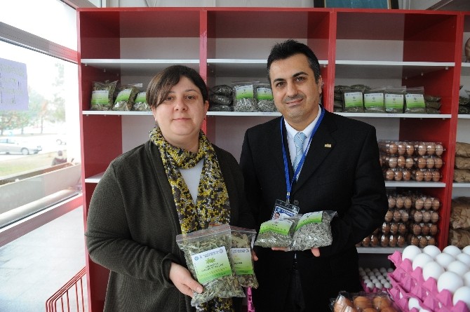 (Özel Haber) Şifalı Çaylar Uludağ Üniversitesinden