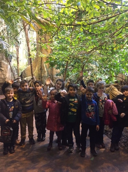 Serdivanlı Öğrenciler İstanbul Akvaryumu Gezdi