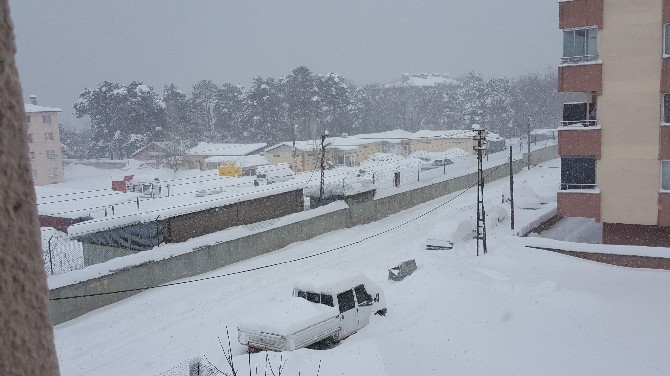 Tatvanda Hayat Durma Noktasına Geldi