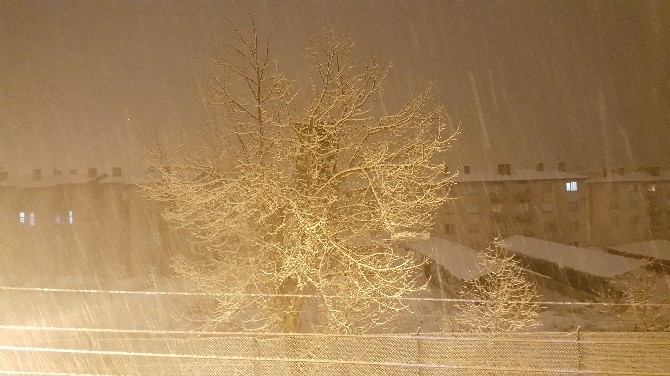 Tatvanda Yoğun Kar Yağışı Etkili Olmaya Başladı