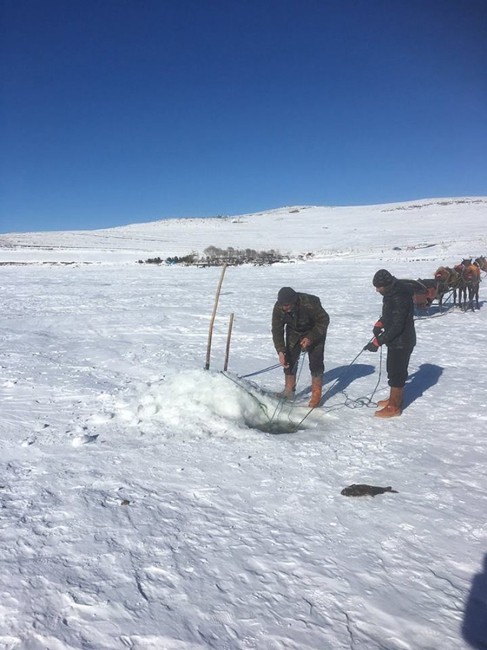 Vali Doğan, Çıldır Gölünde Atlı Kızakla Gezdi