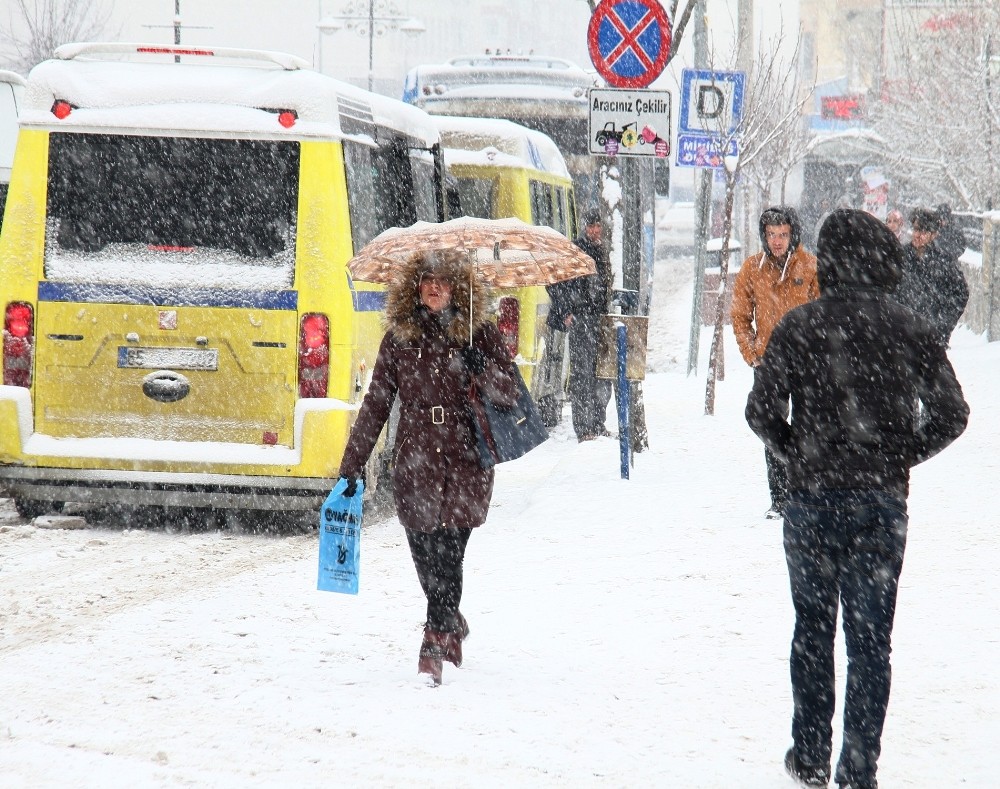 Vanda Kar Yağışı