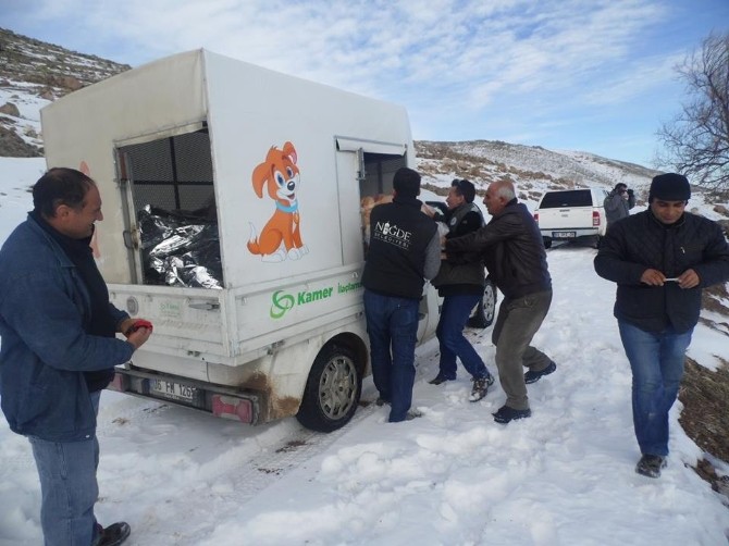 Yaban Hayatı Yemleme Çalışması Yapıldı