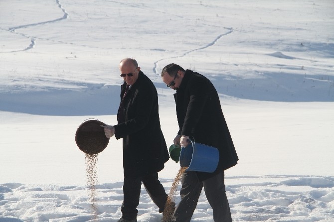 Yaban Hayvanları İçin Doğaya Yem Bırakıldı