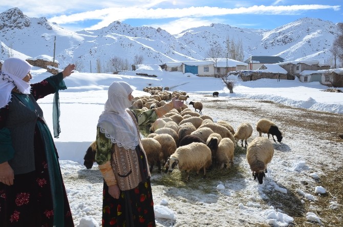 Yüksekovada Aylardır Kapalı Olan Köy Yolu Açıldı