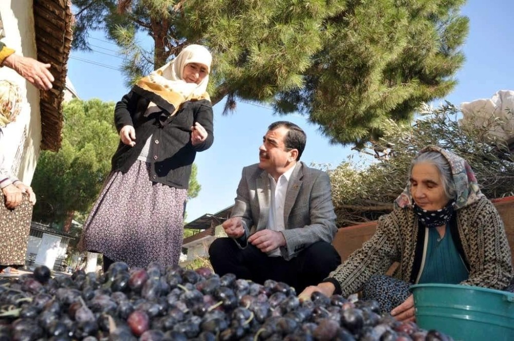 Ak Partili Erdemden Zeytinciye Prim Müjdesi