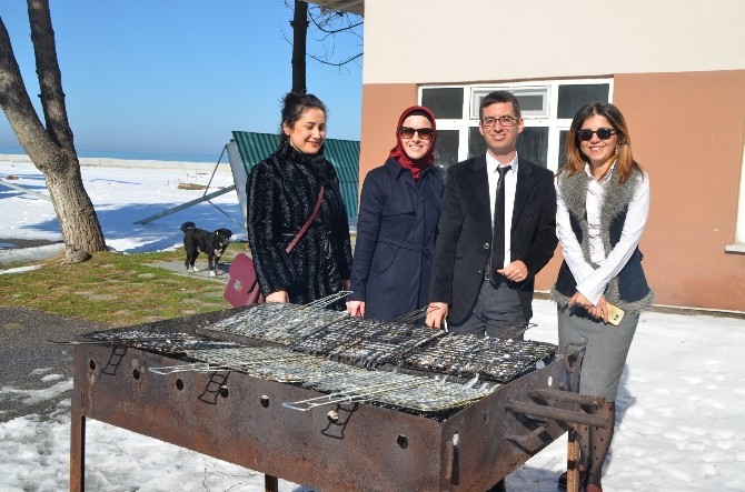 Alaçamda Hamsi Partisi