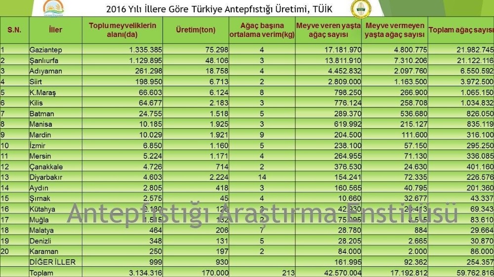 Antep Fıstığını En Çok Yetiştiren İl Gaziantep, En Verimli Yer Diyarbakır