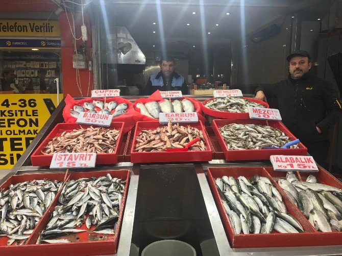 Balık Fiyatları Tavan Yaptı