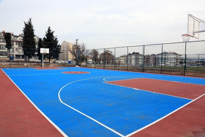 Bandırmanın Ciğerleri Yeniden Hayat Buldu