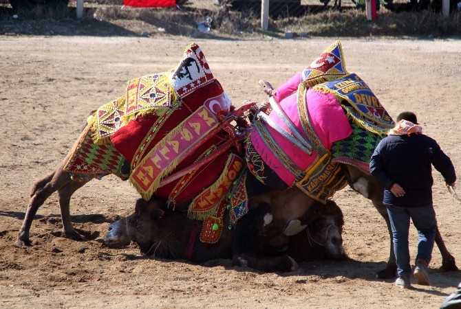 Bergamada 120 Devenin Güreşi Nefes Kesti