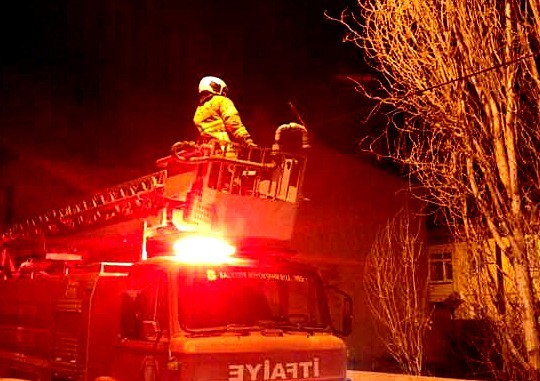 Burhaniyede Kavak Ağacına Çıkan Kediyi, İtfaiye Ekipleri Aşağıya İndirdi