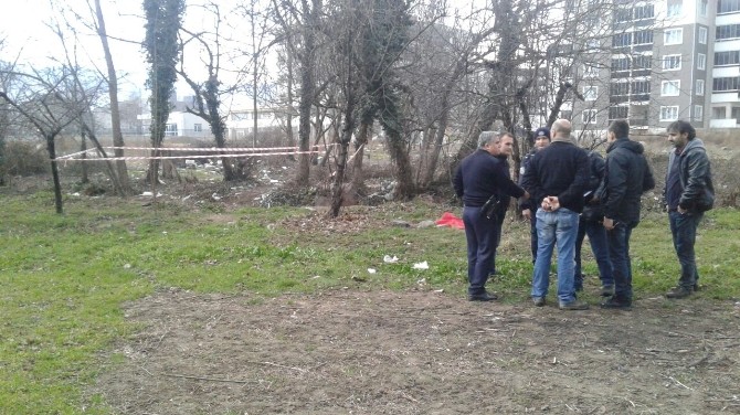 Bursada Bonzai Kabusu: 1 Günde 4 Can