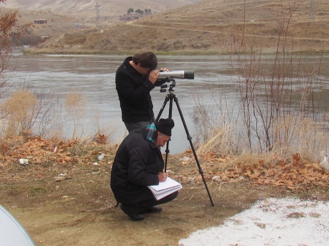 Elazığda 32 Türden 60 Bin Kuş Sayıldı