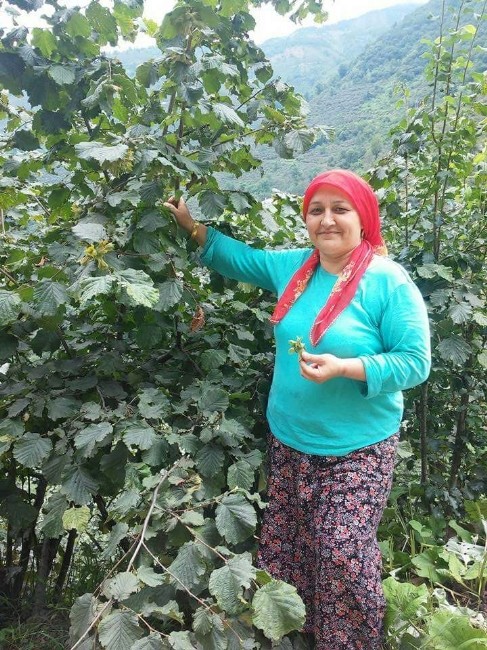 Giresunda Şüpheli Ölüm