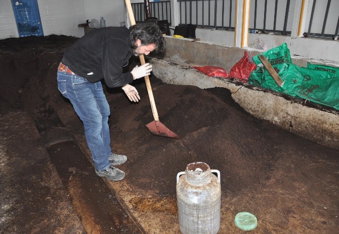 İnternetten Gördüğü Haberden Etkilenerek, Solucan Gübresi Üretim Tesisi Kurdu