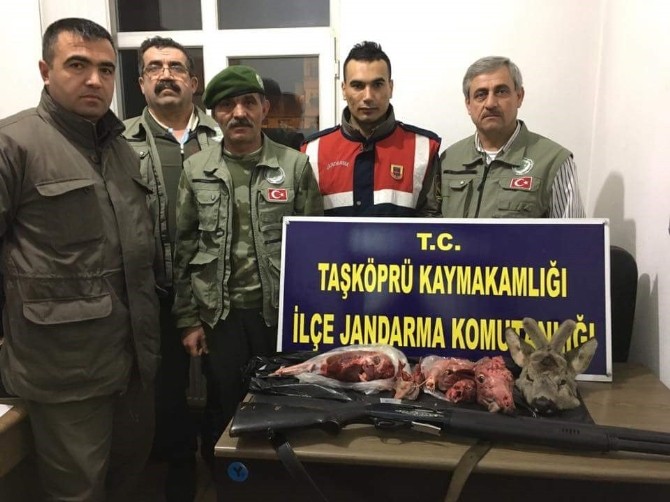 Karaca Avlayan Avcılara 13 Bin Tl Ceza