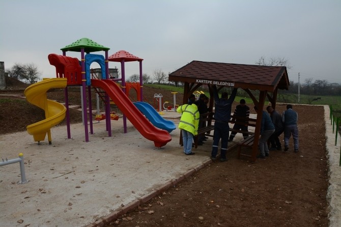 Kartepede Parkların Kamelya Sayısı Artıyor