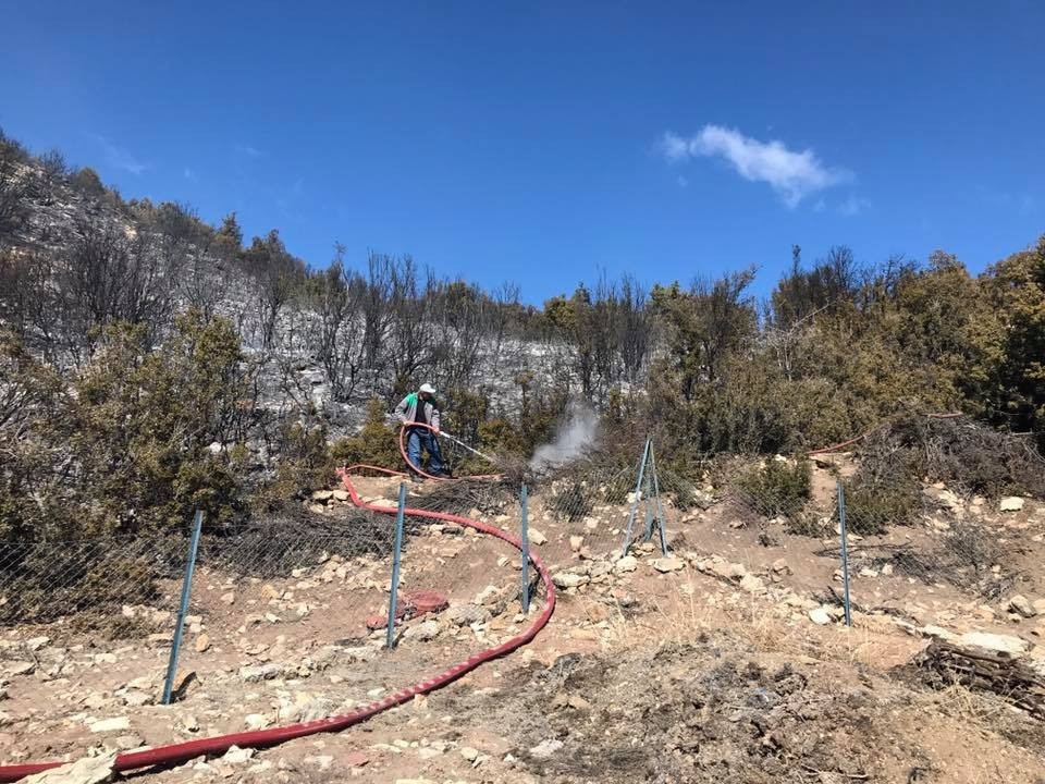 Korkutelinde Makilik Yangını