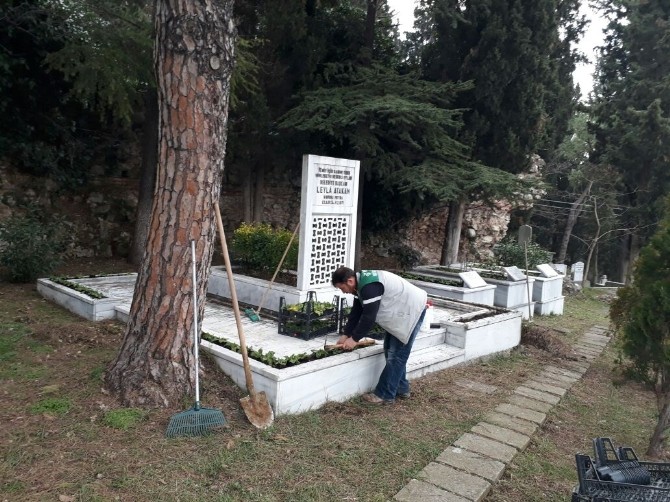 Leyla Atakanın Kabrine Bakım Yapıldı