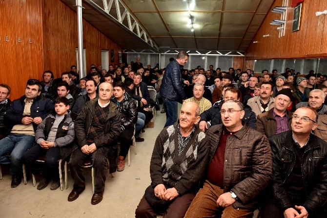 M. Kemalpaşada Güvercin Festivali Düzenlenecek