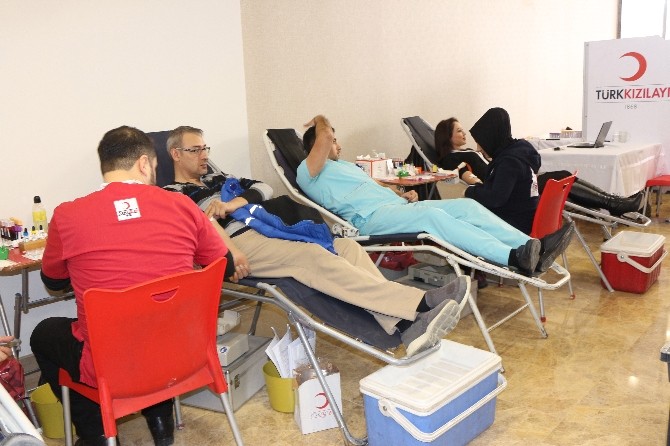 Medovadan Kızılaya Destek