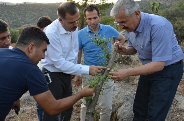 Mersinde 5000 Köye 5000 Orman Projesinde Hedefler Aşıldı