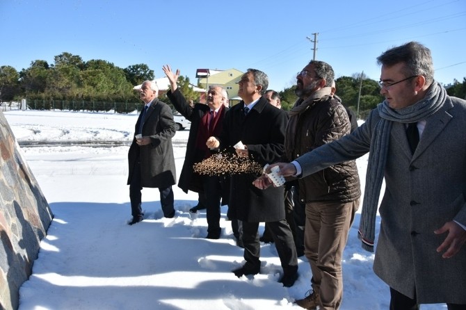 Omü Yönetimi Kuşlara Yem Bıraktı