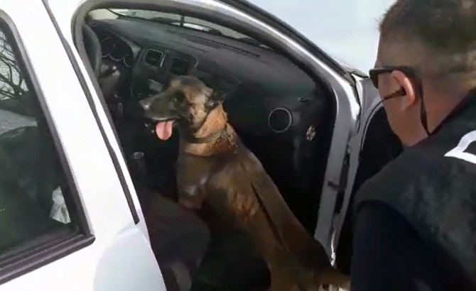 Oscar, Milasta Uyuşturucuya Geçit Vermedi